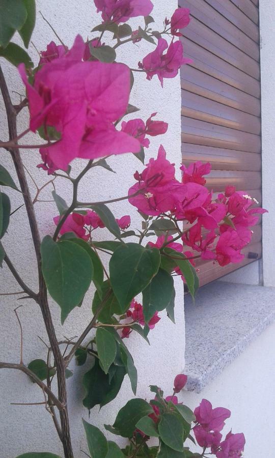 Alma Bed & Breakfast Sennariolo Luaran gambar