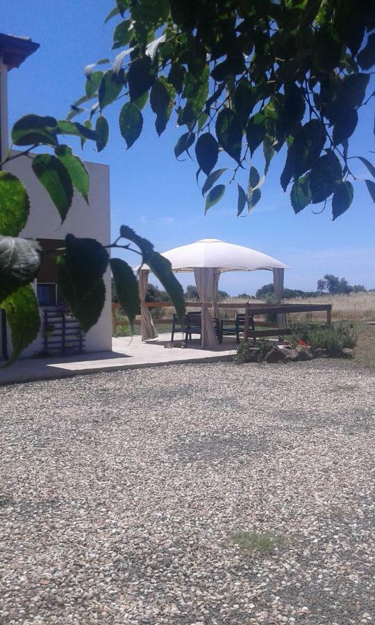 Alma Bed & Breakfast Sennariolo Luaran gambar